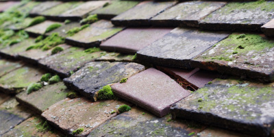 Little Hallingbury roof repair costs